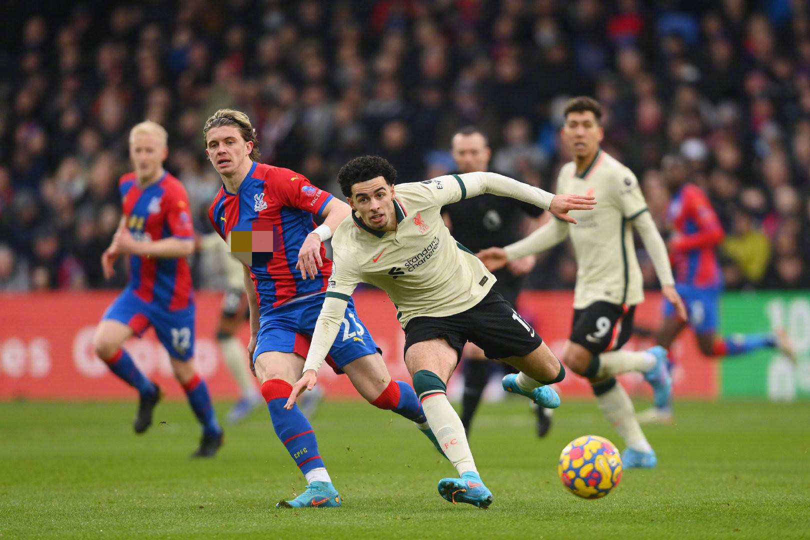 未来展望与 未来展望与